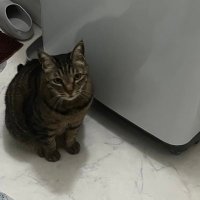 ゆうな (@uch_239_) Twitter profile photo