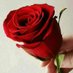Subhash Gupta (@subhash79574079) Twitter profile photo Subhash Gupta (@subhash79574079) Twitter profile photo