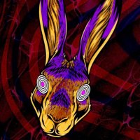 RabbitHole33 (@rabbithole333) 's Twitter Profile