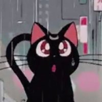 𓃡𓃡𓃬 (@minakopompom) 's Twitter Profile Photo