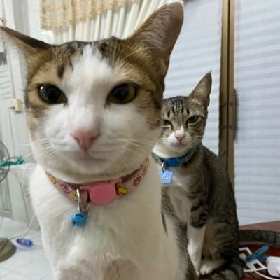 โอเค๊ ตามนั้น Profile