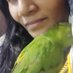 Minnu the parrot (@MahJabe61012793) Twitter profile photo