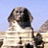 pakotosek's profile image
