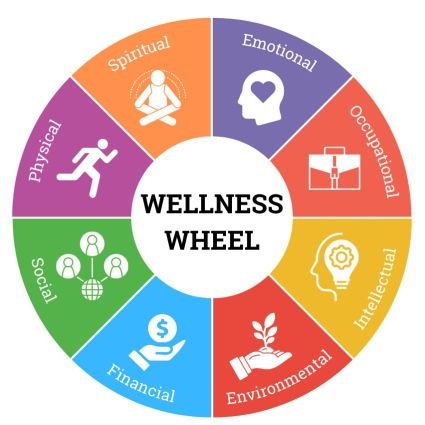 Health and wellness wheel!