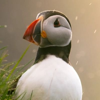 uxmaxed's profile picture. I tickle the line of fabulous user experiences that are fantabulously delightful and meaningful that solves people's problems.