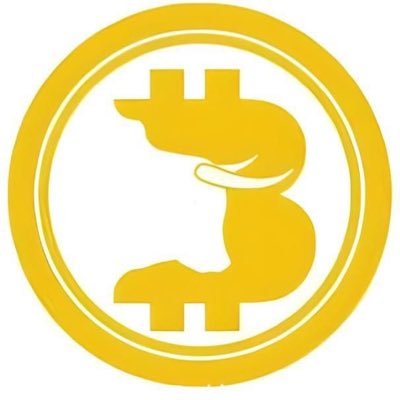 Coinbull_Lab Profile Picture