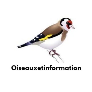 Association de protection pour les oiseaux et la nature depuis 2021.