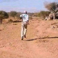 Nyamvura Nyamagwada (@theodoreka94230) 's Twitter Profile