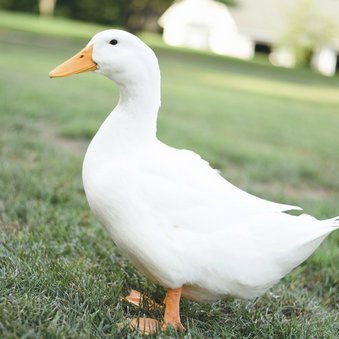 ProgWatch79660's profile picture. Interested in FP, .NET, F#.