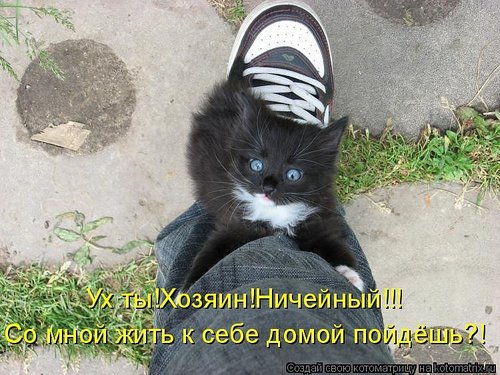 katerina8522's profile picture. Простой воспитатель непростых деток)Поклонница КВН,постоянный искатель вечных ценностей и приключений на 5 точку)исправляю речь(и методом выбивания зубов тоже))