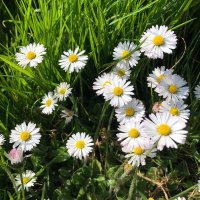 Bristol Parks (@bristolparks) 's Twitter Profile Photo Bristol Parks (@bristolparks) 's Twitter Profile Photo