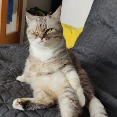 blackboxy13's profile picture. 22 - weird - not normal