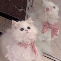 さあちゃん (@s______alc) 's Twitter Profile