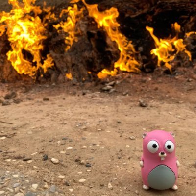 Gopher love. 世界中の辺鄙な場所に旅行し、Gopherと写真を撮るのが趣味です。最近はよくポーカーをプレイしています。将来は家族でWSOPに参加することが夢です。 @Wantedly