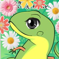 どんちゃん@英語物語 (@donchan_eimono) 's Twitter Profile Photo どんちゃん@英語物語 (@donchan_eimono) 's Twitter Profile Photo
