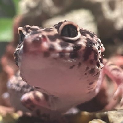 eriistin's profile picture. feed me.