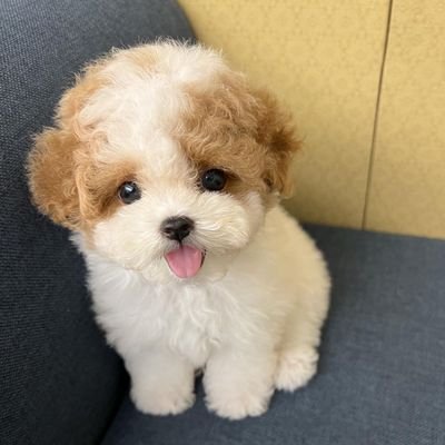 ainsleybw's profile picture. 