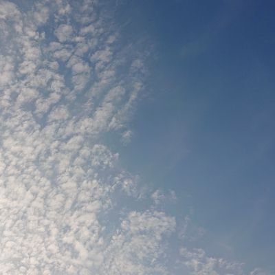 🥝さんのプロフィール画像