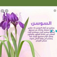 آمنه الصعيدي(@sa23_amnah) 's Twitter Profile Photo