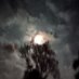 An Truc (@gyllenbandwood2) Twitter profile photo An Truc (@gyllenbandwood2) Twitter profile photo