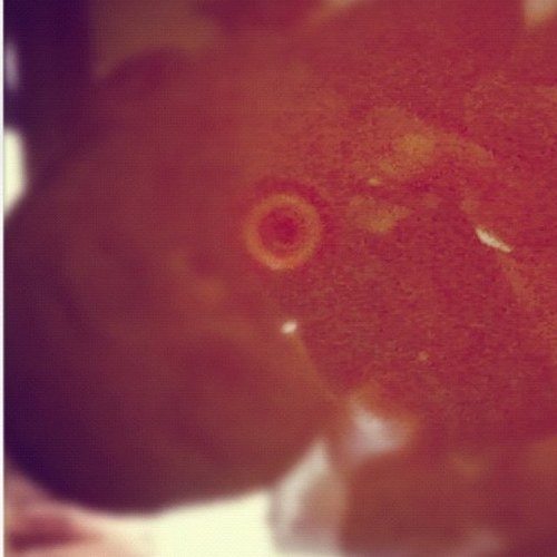 chances1stson's profile picture. Dalton Ormsbee bitch #randomlydone #moderndaydiary (#WEEDaintcool) #streetsaintnowheretobe #onceagainlikeIvesaidb4bitch #gottawrktogetwant January 26th, 1994