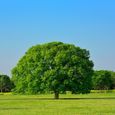 一人ひとりのスタイルを大切にし、多様性を尊重するライフスタイルブランドです。自由な発想と自然の美しさを追求し、日常生活に彩りを加える商品をお届けします。

https://t.co/q174o35fDN