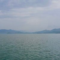 Ray (@ray19821704) 's Twitter Profile