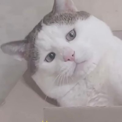 源間色絵🐤人体切断マジックで物理的に切断されたまま放置されガチ泣きするアーニャコスプレの中年男性