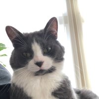 Frank Charbonneau (@mille_iles) 's Twitter Profile