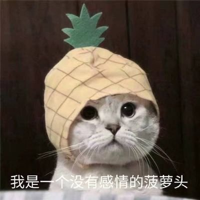 zhe2144's profile picture. 