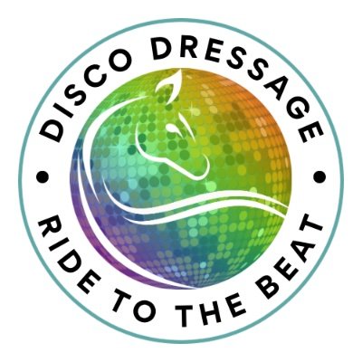 We do dressage, in a fun way...