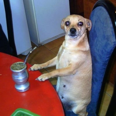 micajet4's profile picture. 