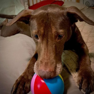 KT_Chavez's profile picture. 