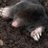 J62242487's profile image