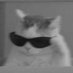 andries (@babboiiii) Twitter profile photo andries (@babboiiii) Twitter profile photo
