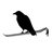 crowbar_design's profile image