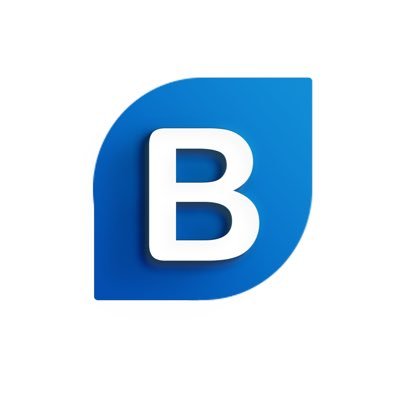 BidnizTech Profile Picture