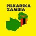 Piłkarska Zambia (@PilkarskaZambia) Twitter profile photo