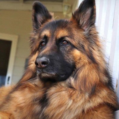 Professional licensed cryptocurrency analyst and SEC partner.Aussie 🇦🇺