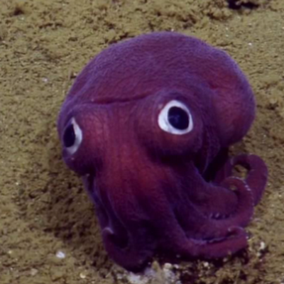 M0N0_CHR0M31's profile picture. 