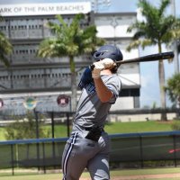 Dozier Swain (@dozierswain) 's Twitter Profile