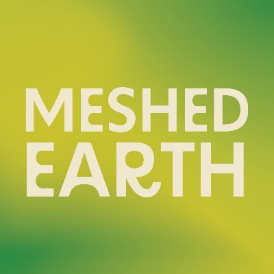 meshedearth Profile Picture