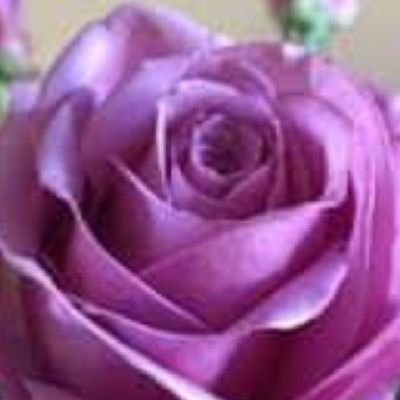 mmmmm8880aa's profile picture. 