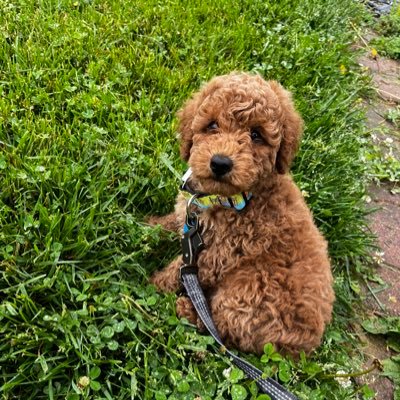 LeisaWeyer's profile picture. 