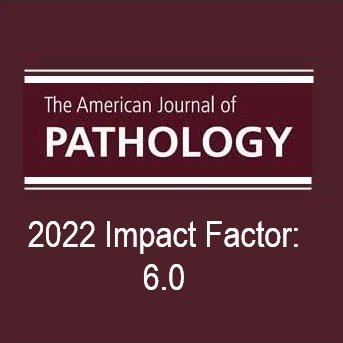 The official journal of the American Society for Investigative Pathology @ASIPath, examining discoveries in basic and translational pathobiology