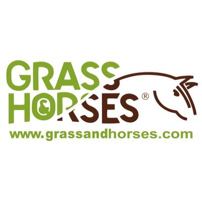 Grass And Horses