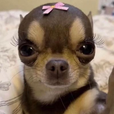 GraceCottrell1's profile picture. Instagram: @gracecottrell