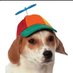 Godโs cutest wittle pogchamp :3 ๐ฆง (@bubble_bubbsy) Twitter profile photo Godโs cutest wittle pogchamp :3 ๐ฆง (@bubble_bubbsy) Twitter profile photo