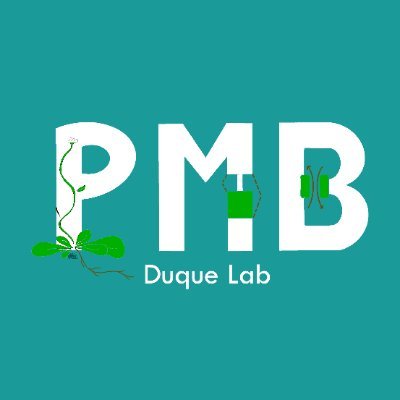 🌱 Plant Molecular Biology lab at @IGCiencia led by Paula Duque 🌱 #ABA #SRproteins #Transporters #AbioticStressResponses #Arabidopsis