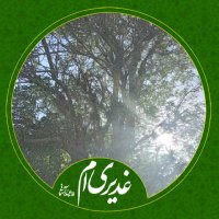 یاس سفید (@yas66400) 's Twitter Profile Photo